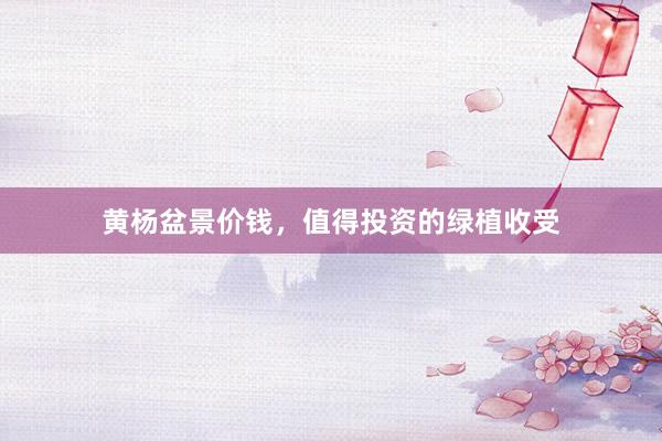 黄杨盆景价钱，值得投资的绿植收受
