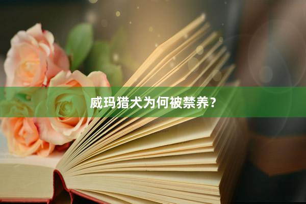 威玛猎犬为何被禁养？