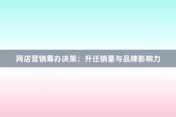 网店营销筹办决策:升迁销量与品牌影响力